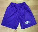 Picture of Mesh Logo Shorts